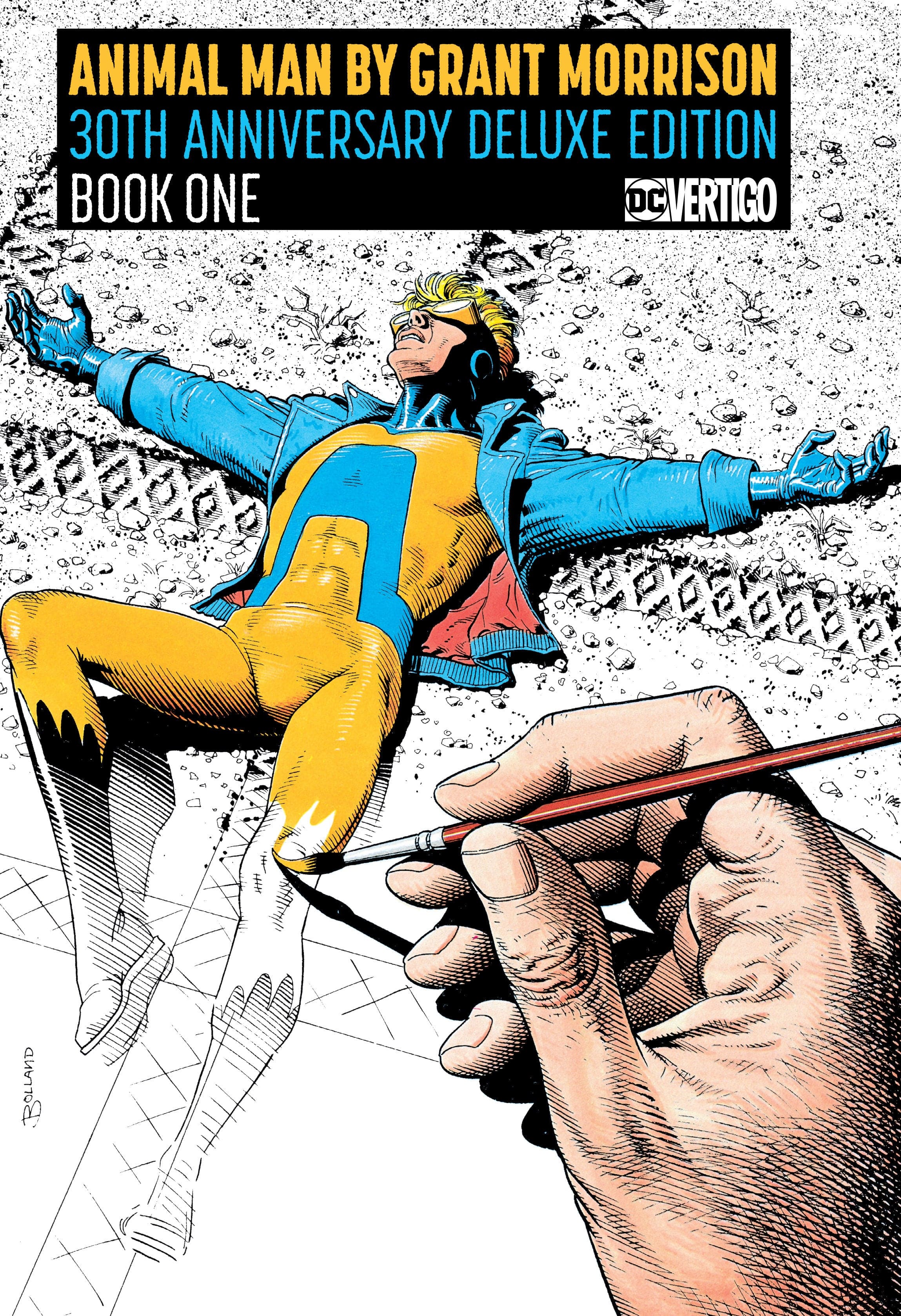 DC Comics, Inc. Animal Man by Grant Morrison 30th Anniversary Deluxe Edition Book One