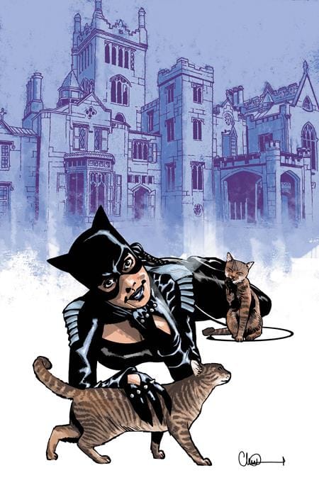 DC Comics, Inc. Catwoman #91 Cover C Charlie Adlard Card Stock Variant