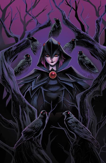 DC Comics, Inc. DC's Quoth The Raven...Whatever #1 (One Shot) Cover A Sweeney Boo