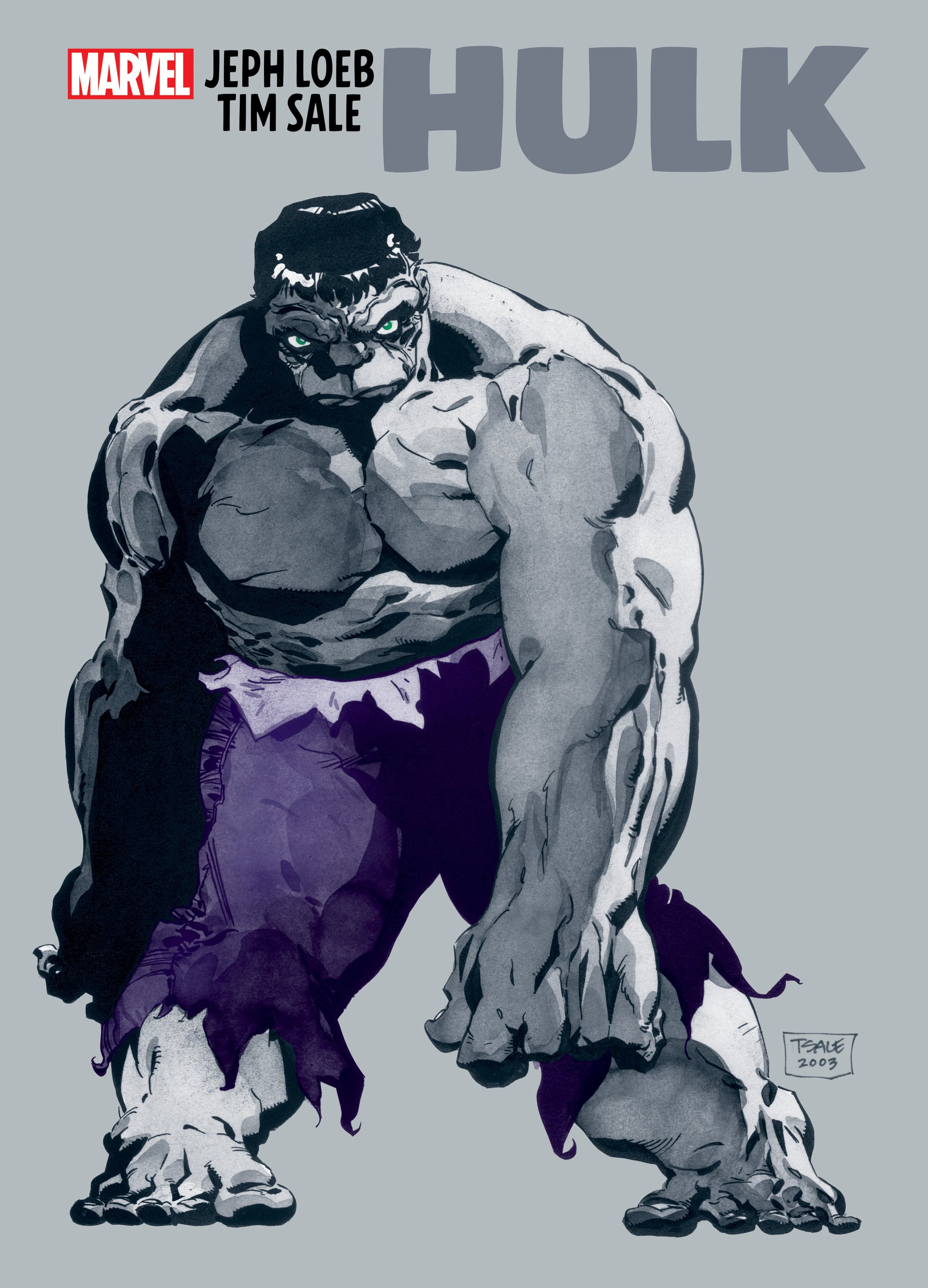 Marvel Comics Jeph Loeb & Tim Sale: Hulk Gallery Edition