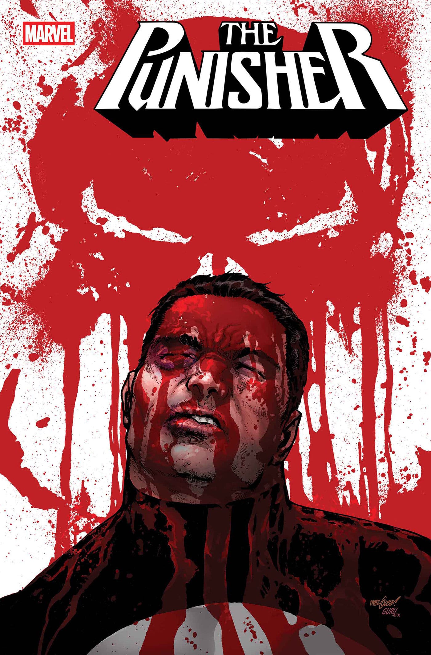 Marvel Comics Punisher (Series Subscription)
