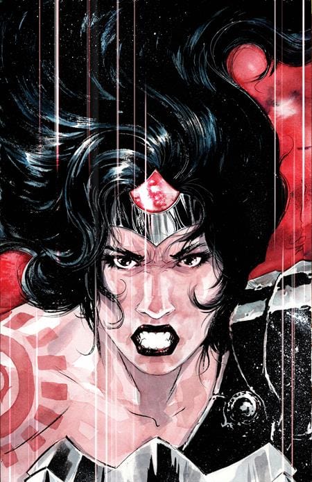 DC Comics, Inc. Absolute Wonder Woman #14 Cover D Dustin Nguyen Card Stock Variant