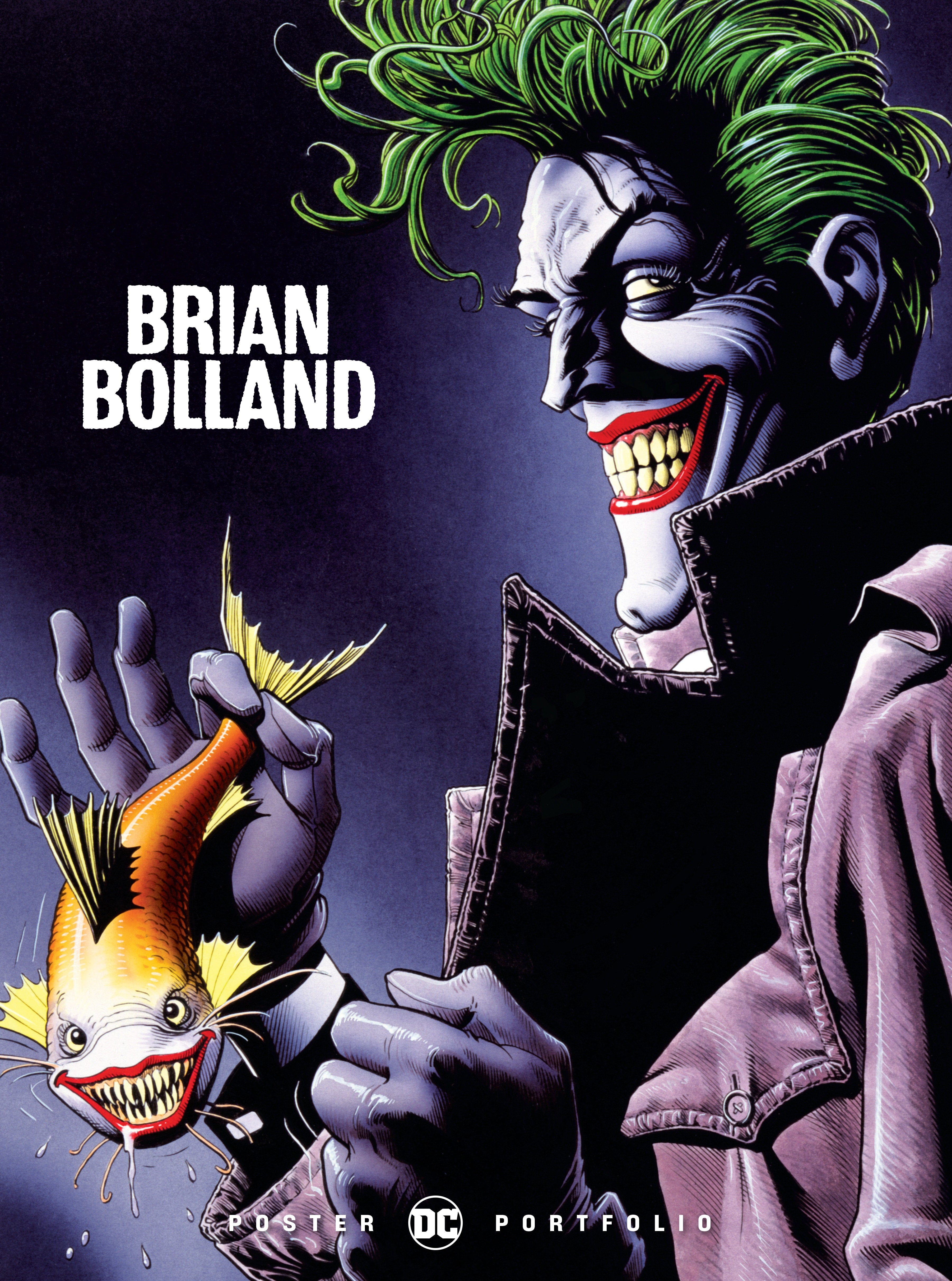 DC Comics, Inc. DC Poster Portfolio: Brian Bolland