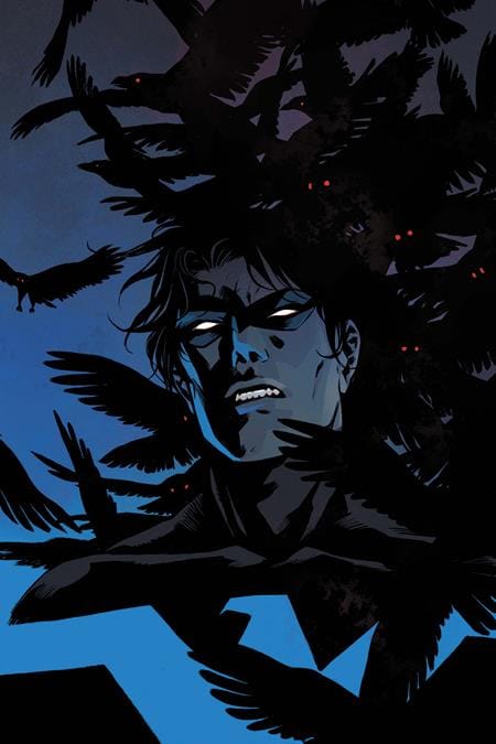 DC Comics, Inc. Nightwing #144 Cover C Becky Cloonan Card Stock Variant