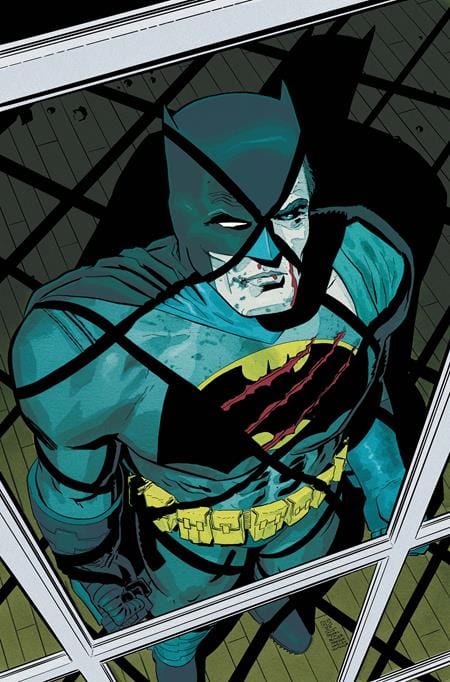 DC Comics, Inc. Poison Ivy #48 Cover E Hayden Sherman Dark Knight Returns 40th Anniversary Card Stock Variant