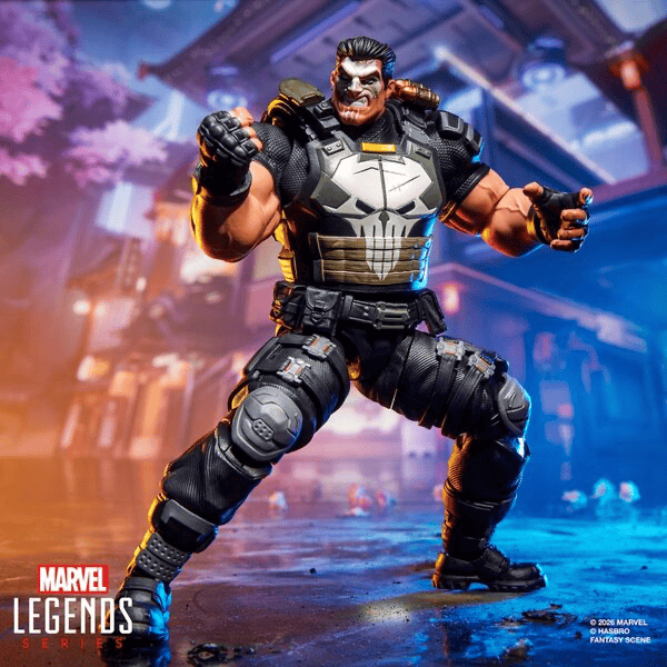 Hasbro Marvel Legends Series Marvel Rivals The Punisher Action Figure