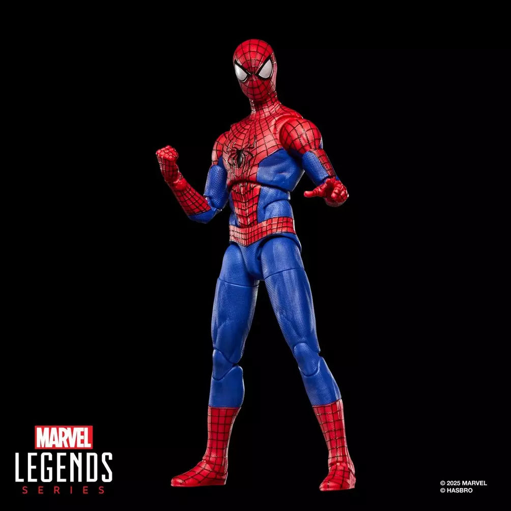 Hasbro Marvel Legends Series Spider-Man: No Way Home The Amazing Spider-Man Action Figure
