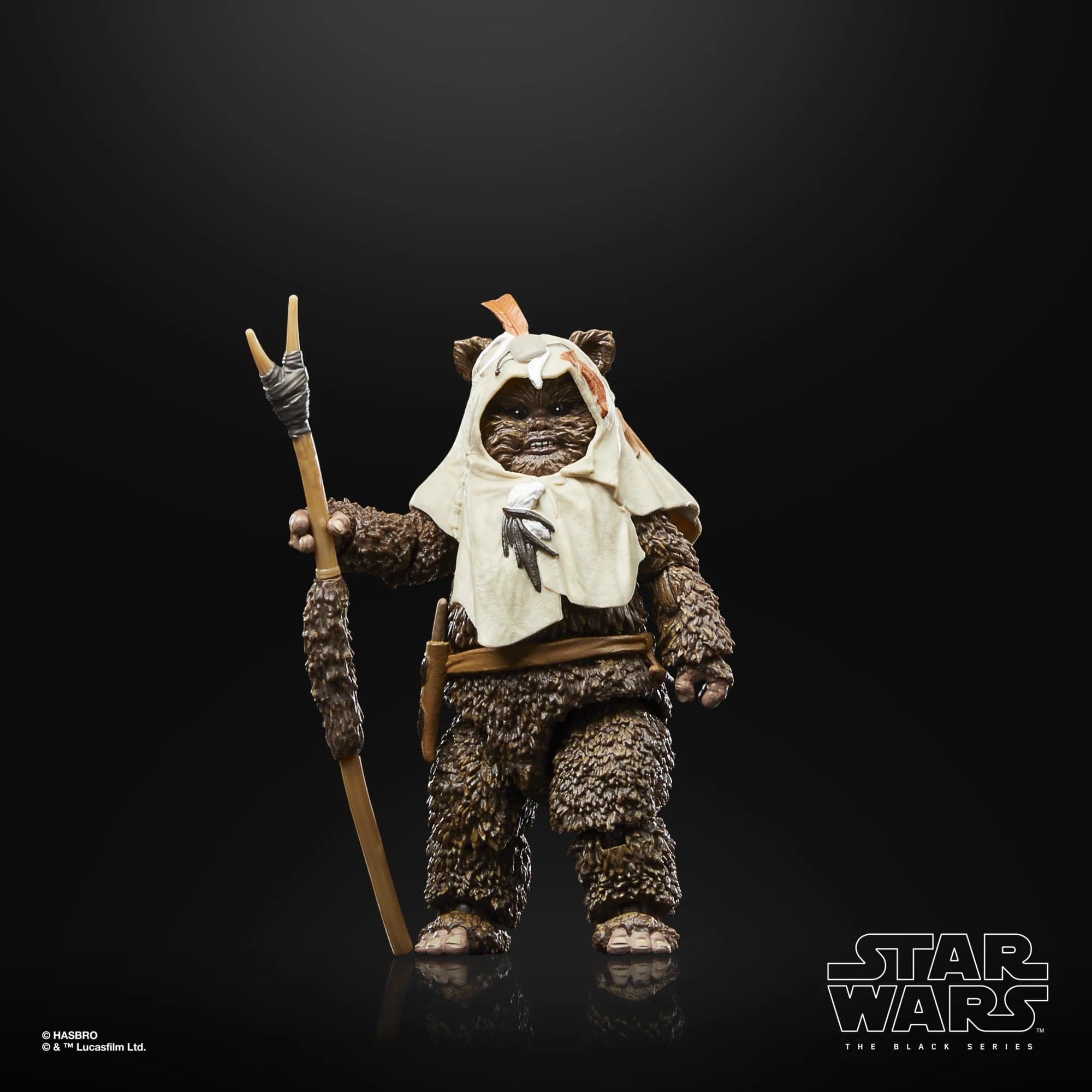 Hasbro Star Wars The Black Series Return of the Jedi 40th Anniversary Paploo Action Figure
