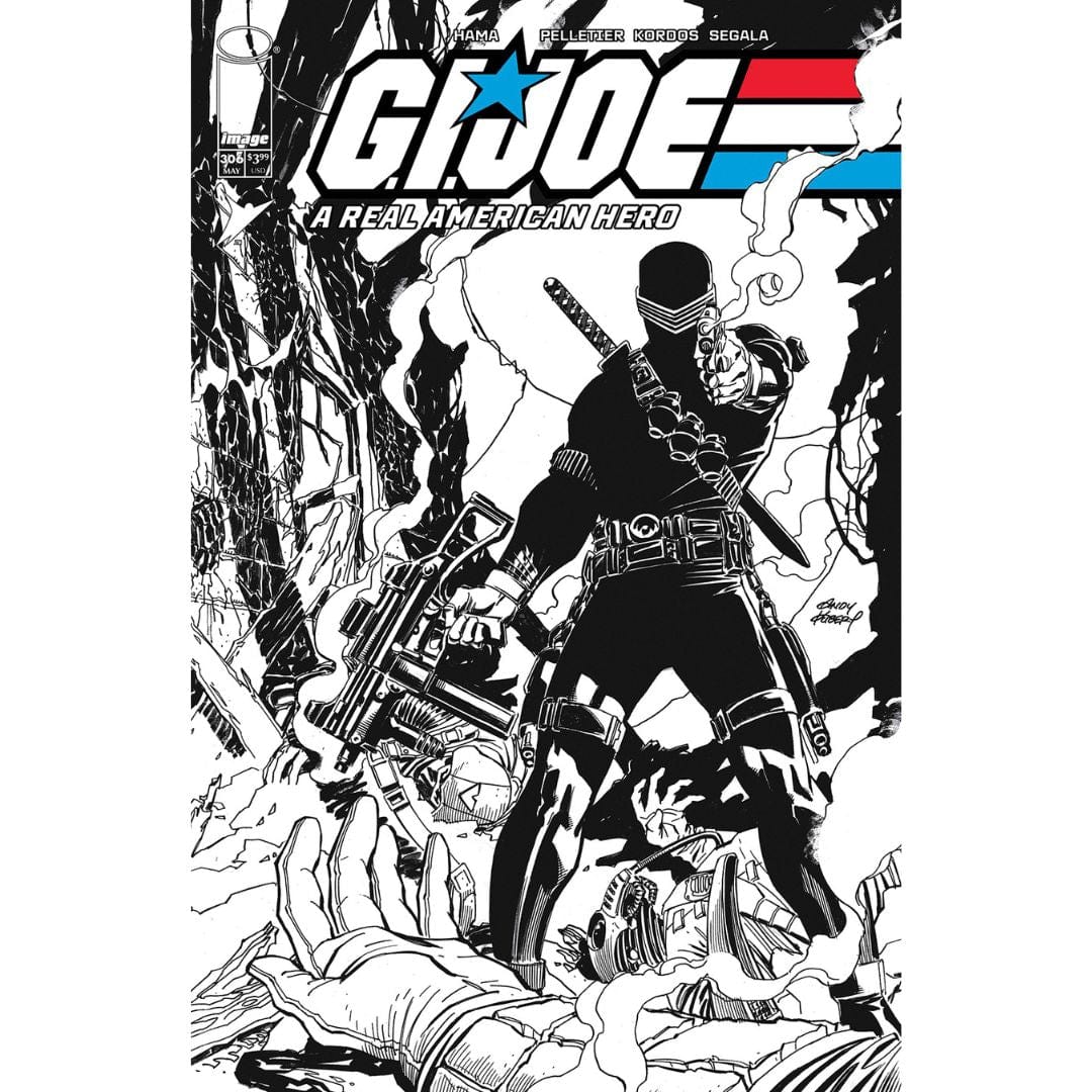 Image Comics G.I. Joe: A Real American Hero #306 Cover A B Set