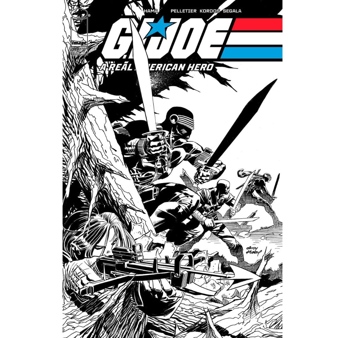 Image Comics G.I. Joe: A Real American Hero #309 Cover A B Set