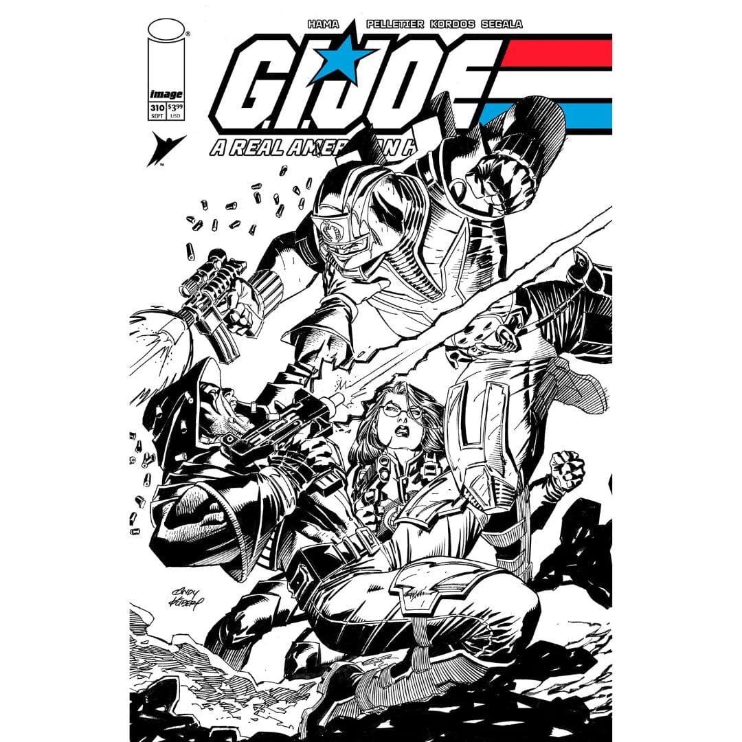 Image Comics G.I. Joe: A Real American Hero #310 Cover A B Set