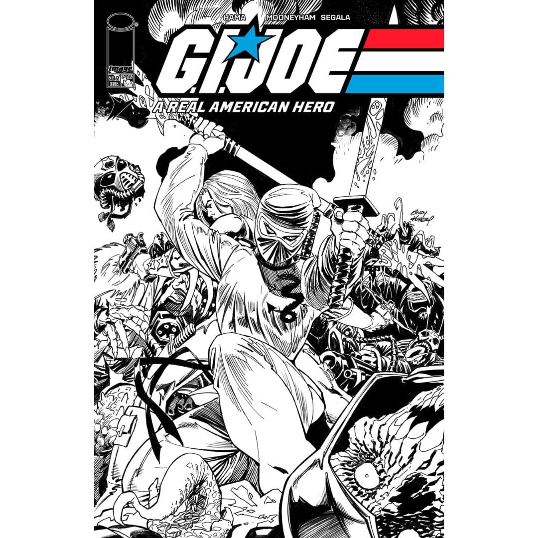 Image Comics G.I. Joe: A Real American Hero #312 Cover A B Set