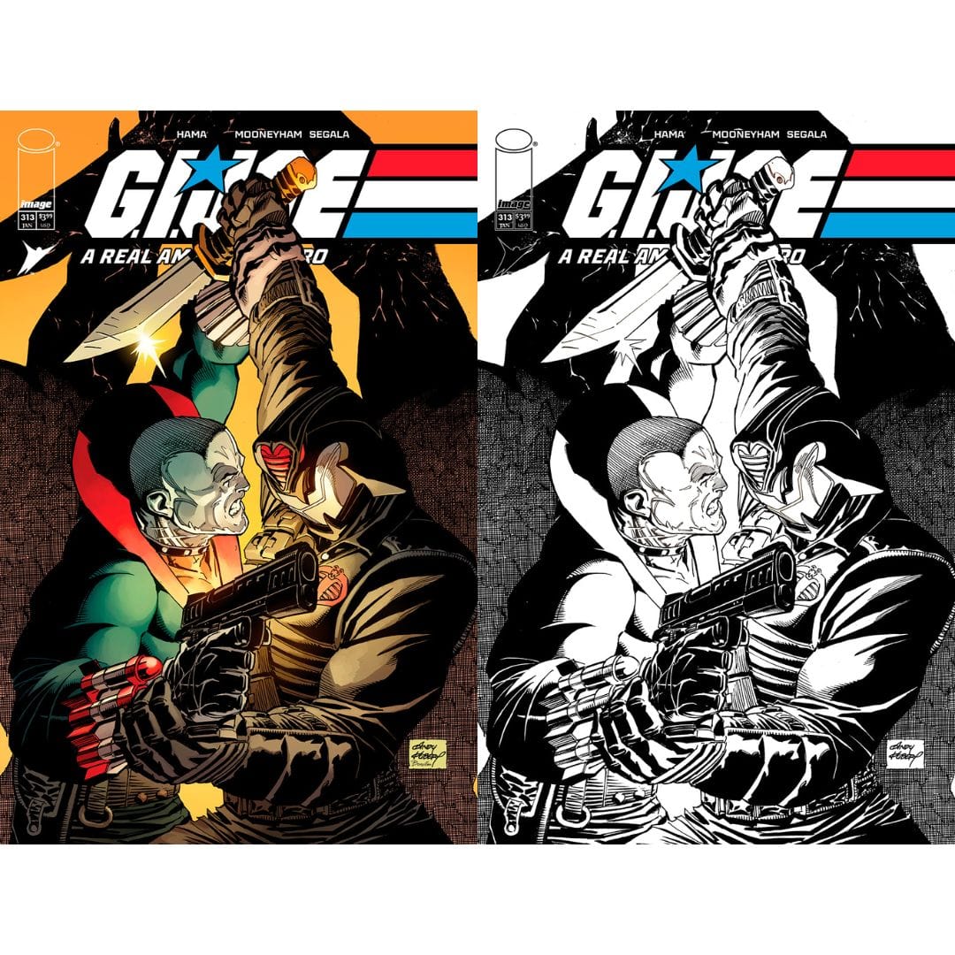 Image Comics G.I. Joe: A Real American Hero #313 Cover A B Set