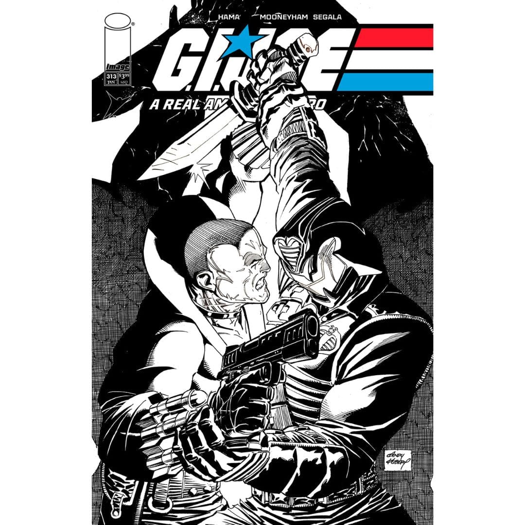 Image Comics G.I. Joe: A Real American Hero #313 Cover A B Set