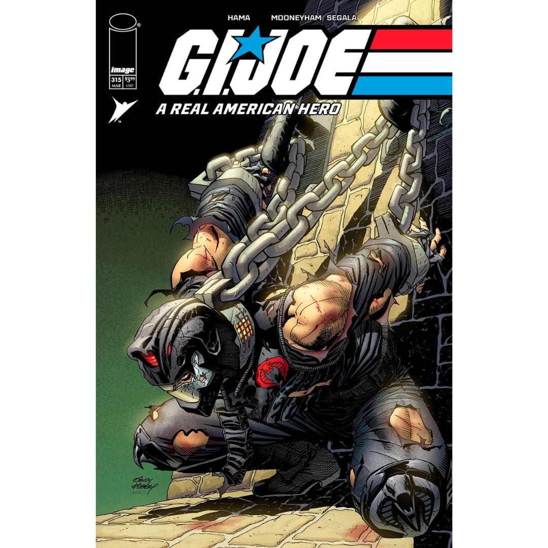 Image Comics G.I. Joe: A Real American Hero #315 Cover A B Set