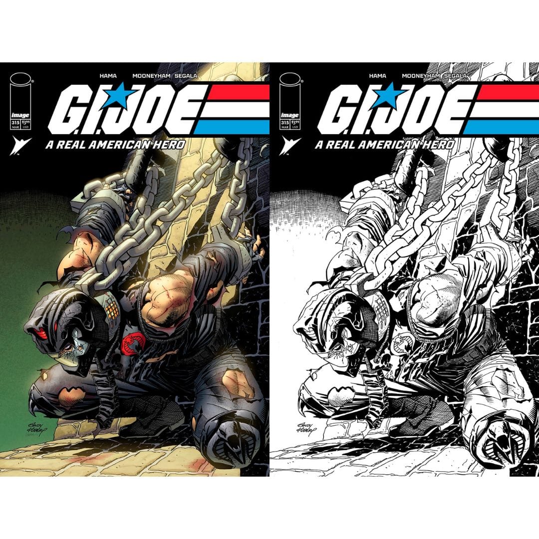 Image Comics G.I. Joe: A Real American Hero #315 Cover A B Set