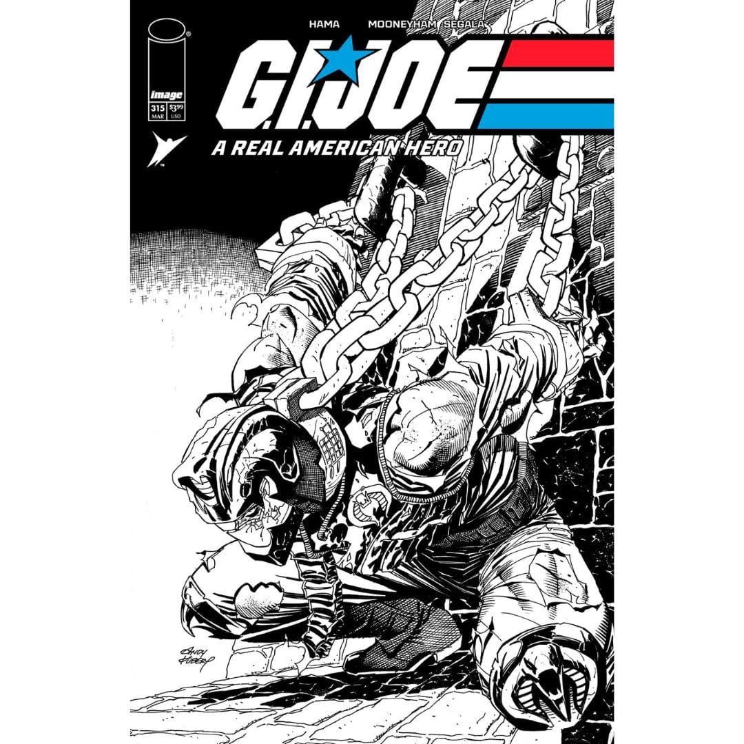 Image Comics G.I. Joe: A Real American Hero #315 Cover A B Set