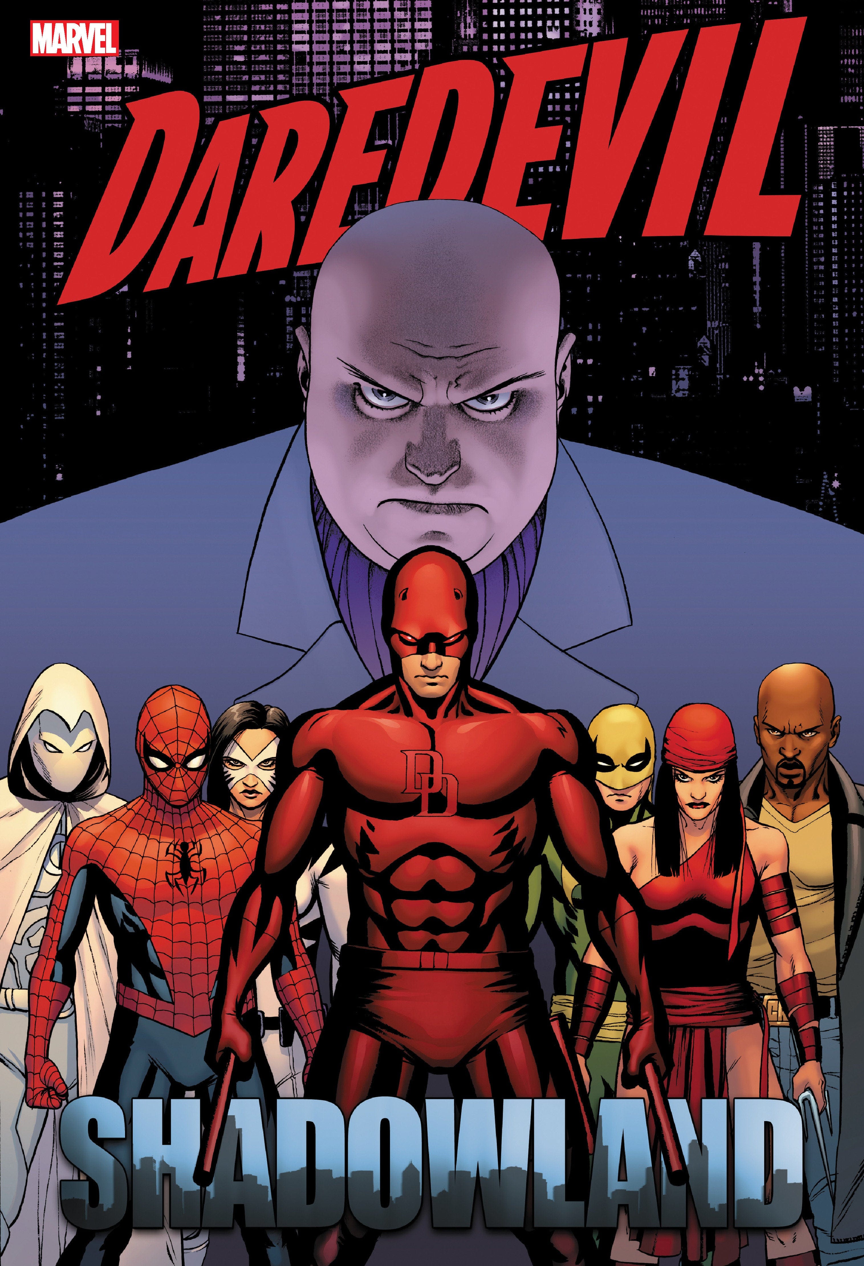 Marvel Comics Daredevil: Shadowland Omnibus Cassaday Cover (New Printing)