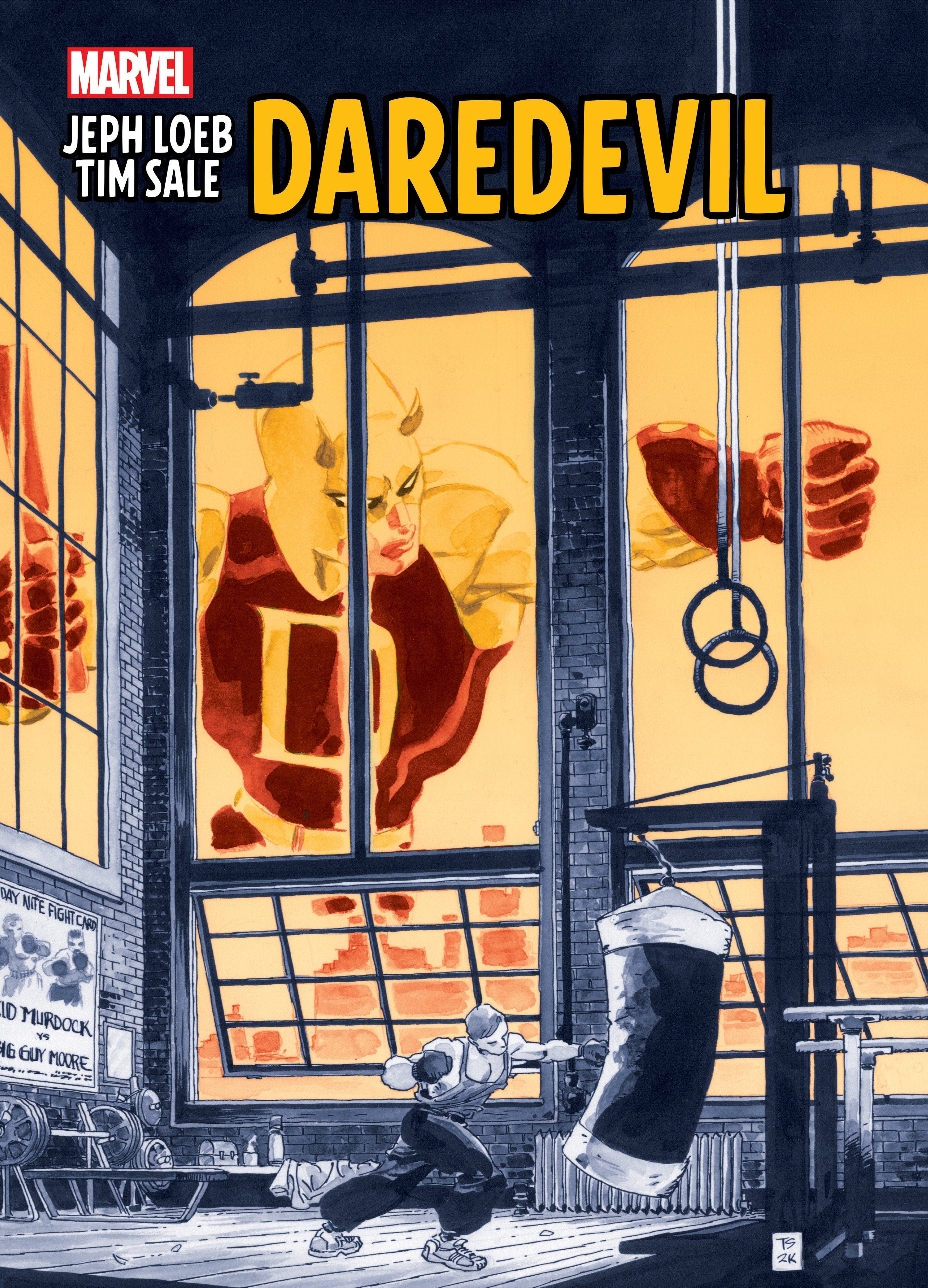 Marvel Comics Jeph Loeb & Tim Sale: Daredevil Gallery Edition