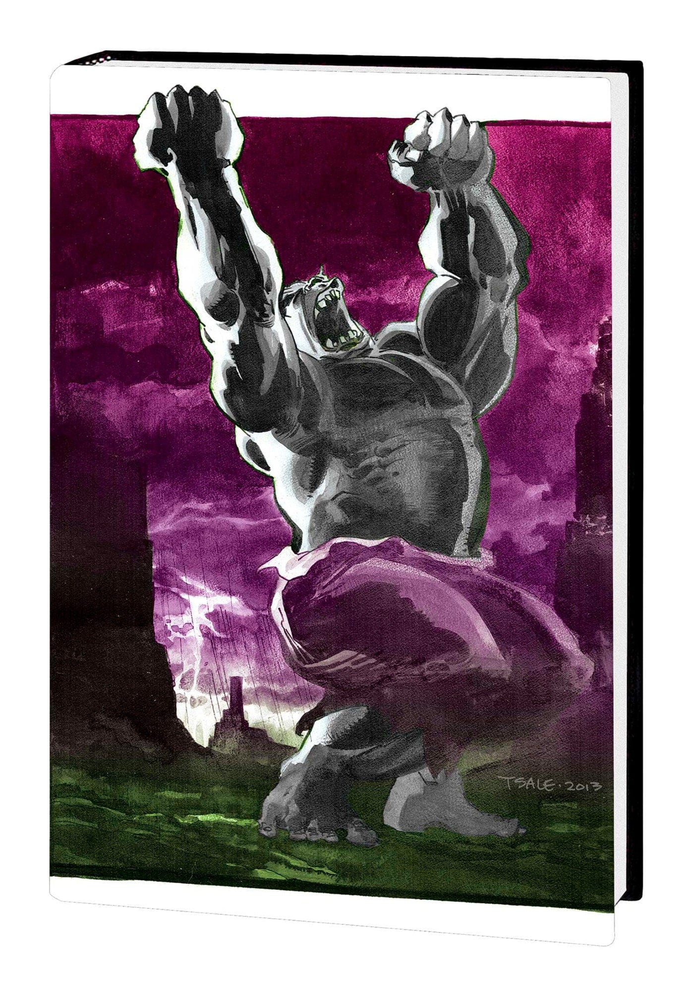 Marvel Comics Jeph Loeb & Tim Sale: Hulk Gallery Edition (Direct Market Edition)