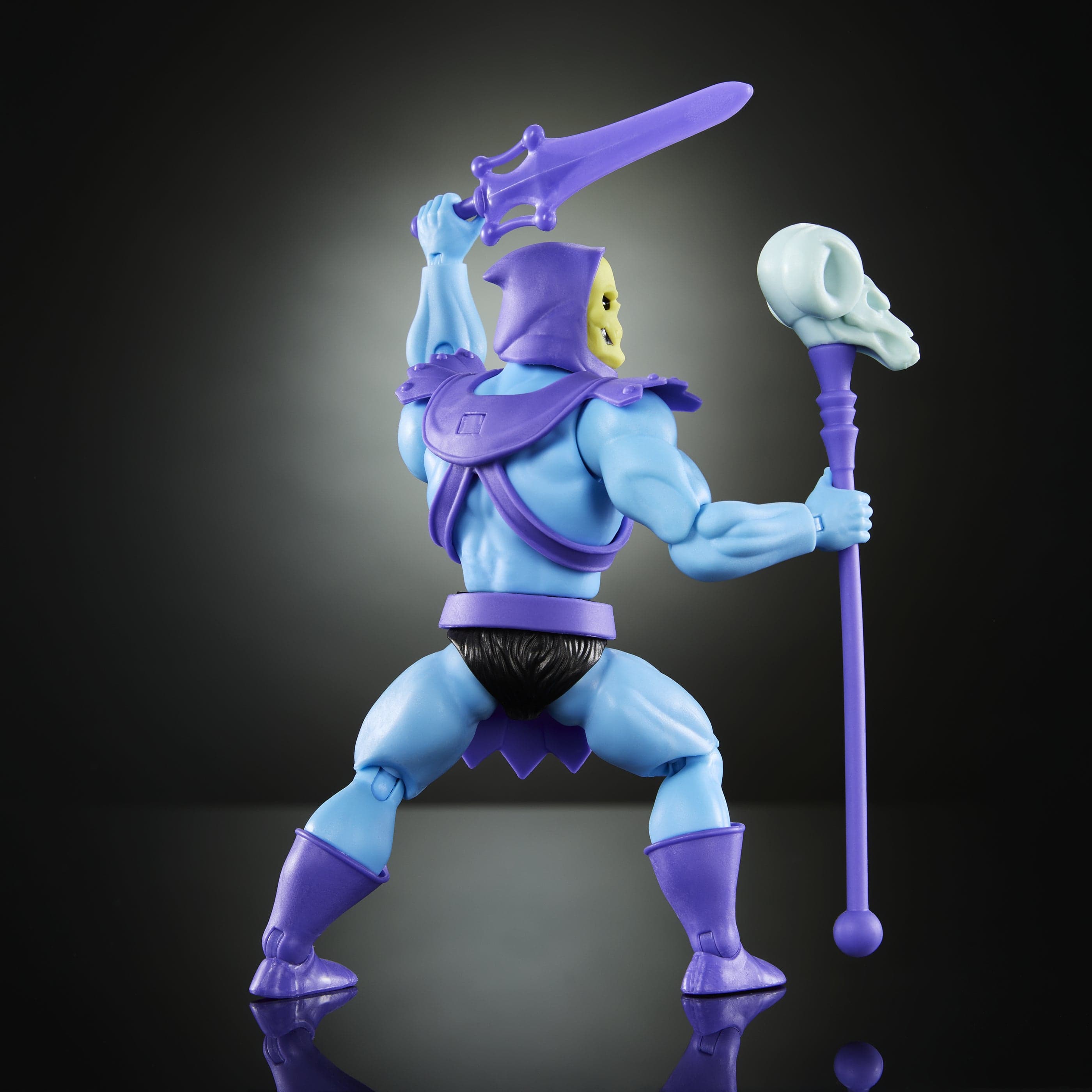 Mattel Masters of the Universe Origins Cartoon Collection Skeletor Action Figure